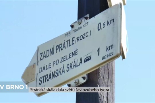 Stránská skála dala světu šavlozubého tygra