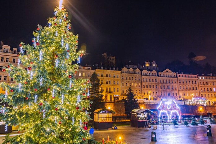 Karlovy Vary hledají strom pro letošní vánoční trhy