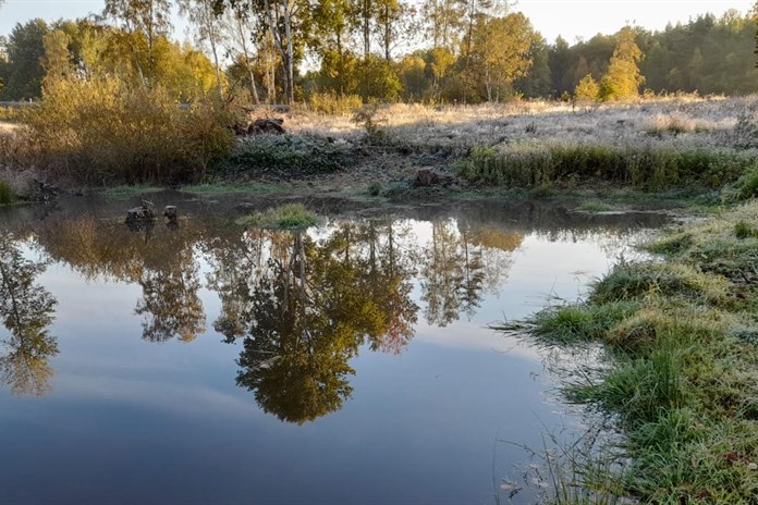 Tůně v lázeňských lesích přispějí k zadržení vody v krajině i zvýšení biodiverzity