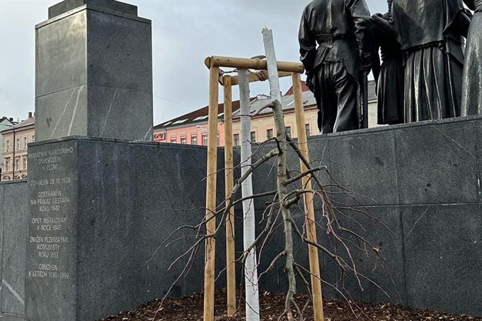 Aktualizováno: Policisté už znají totožnost vandala, který poničil lípu. Přišel se sám udat!