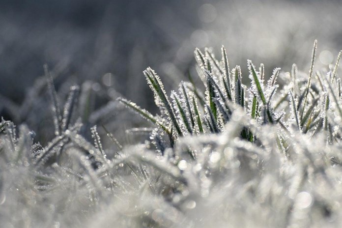 Na jihozápadě republiky udeří mrazy, hrozí poškození vegetace, varují meteorologové