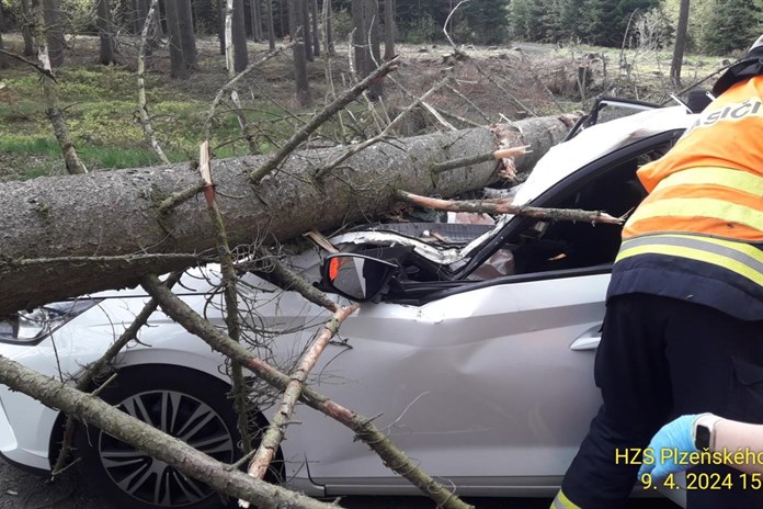 Na jedoucí auto spadl strom, řidička je těžce zraněná