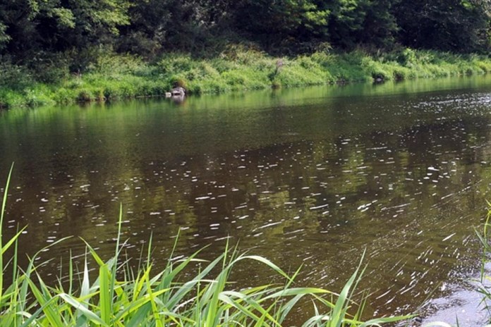 Silný déšť zvedl hladiny řek v Plzeňském kraji, meteorologové mírní výstrahu