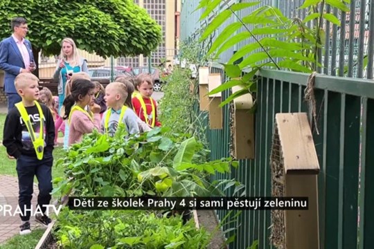 Děti ze školek  Prahy 4 si sami pěstují zeleninu
