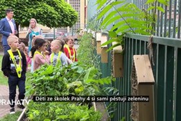Děti ze školek  Prahy 4 si sami pěstují zeleninu