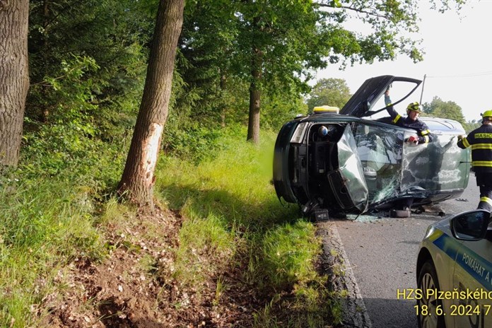 Řidič přeběhla přes cestu lesní zvěř, havaroval a skončil v nemocnici