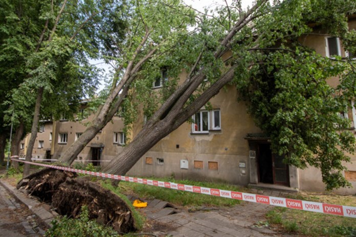 Bouřky opět zaměstnávají hasiče. Nejčastěji u polámaných a vyvrácených stromů