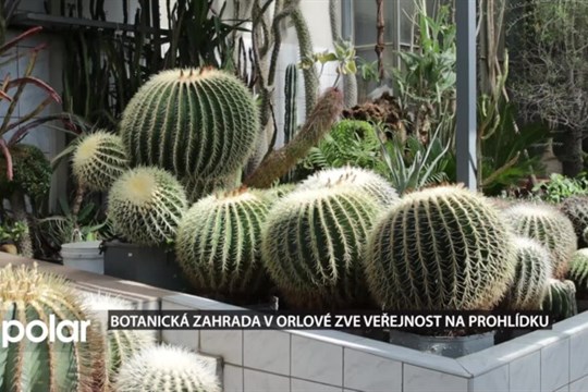 Botanická zahrada v Orlové zve veřejnost na prohlídku