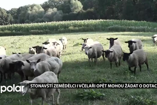 Stonavští zemědělci i včelaři opět mohou žádat o dotaci