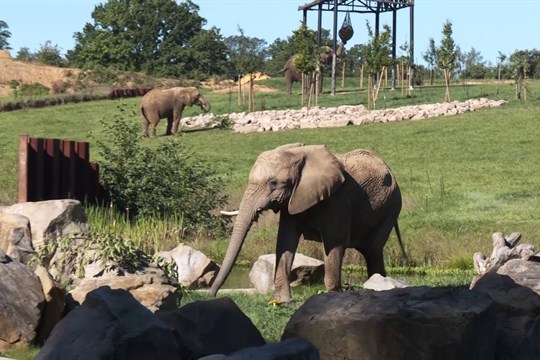 Vedení kraje podpoří rozšíření zlínské zoo 25 miliony korun