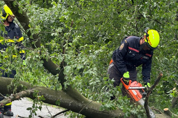 Silný vítr opět zaměstnává hasiče, výstraha meteorologů kvůli bouřkám platí do jedné ráno