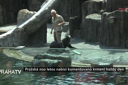 Pražská zoo letos nabízí komentovaná krmení každý den