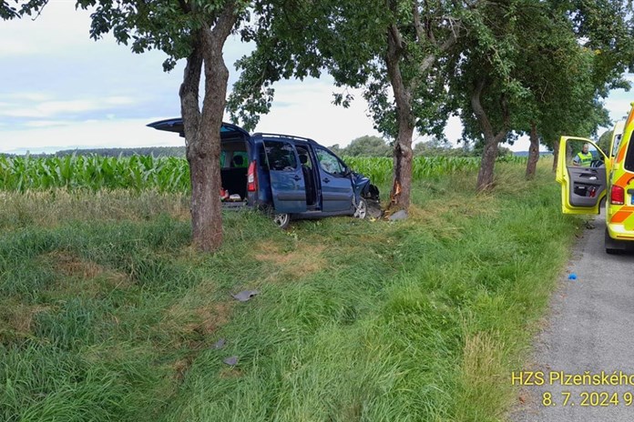 Řidička narazila s autem do stromu, otáčela se na děti na zadním sedadle