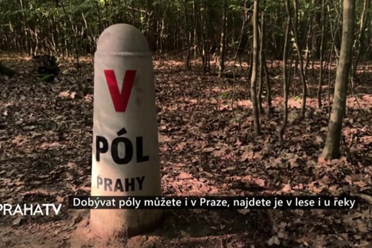 Dobývat póly můžete i v Praze, najdete je v lese i u řeky