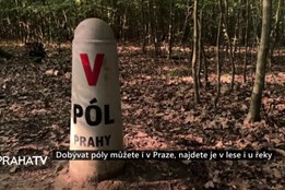 Dobývat póly můžete i v Praze, najdete je v lese i u řeky