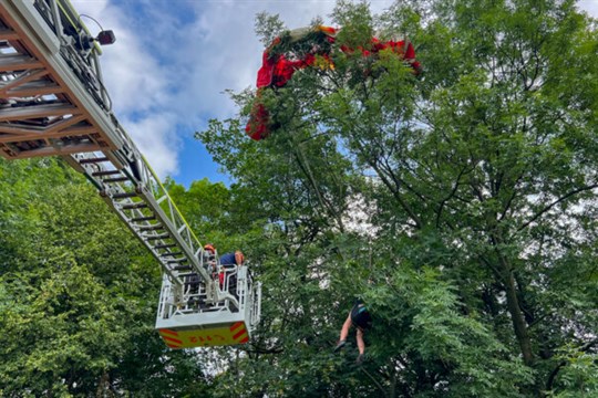 Paraglidistka neplánovaně přistála na stromě, sundali ji hasiči