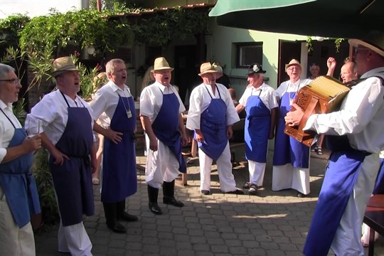 Soubor Spinek ze Vnorov vystoupil na folklórním večeru v Zarazicích