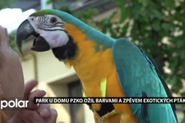 Park u Domu PZKO ožil barvami a zpěvem exotických ptáků