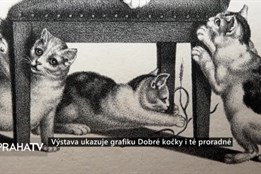 Výstava ukazuje grafiku Dobré kočky i té proradné