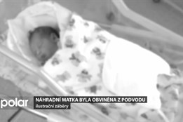 Podvodnice slibovala neplodným párům náhradní mateřství. Oklamala 23 párů z celé ČR.