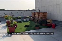 Na střechu radnice Prahy 8 umístili včelaři tři úly