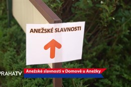 V Domově u Anežky se senioři bavili Anežských slavnostech