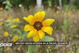 Obvod Ostrava-Jih je čím dál zelenější díky projektu REPLACE i dotacím na předzahrádky