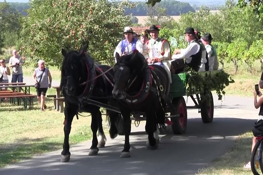 Ve Strážnici zaráželi horu