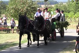 Ve Strážnici zaráželi horu