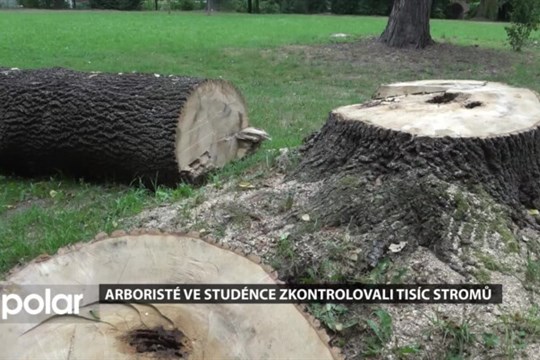 Arboristé ve Studénce zkontrolovali tisíc stromů, radnice odborníky povolala po červnové smršti