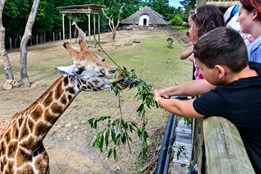 Vstupné do zlínské zoo bude každý pátek v září a říjnu jen za 100 korun