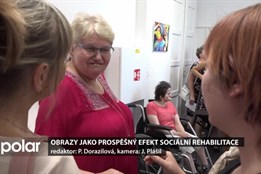 Obrazy, které vystavuje novojičínská knihovna, vznikly jako prospěšný efekt sociální rehabilitace