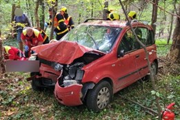 Senior vyjel s autem mimo silnici a narazil do stromu, spolujezdkyně zemřela