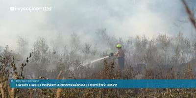 Hasiči hasili požáry a odstraňovali obtížný hmyz