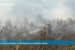 Hasiči hasili požáry a odstraňovali obtížný hmyz