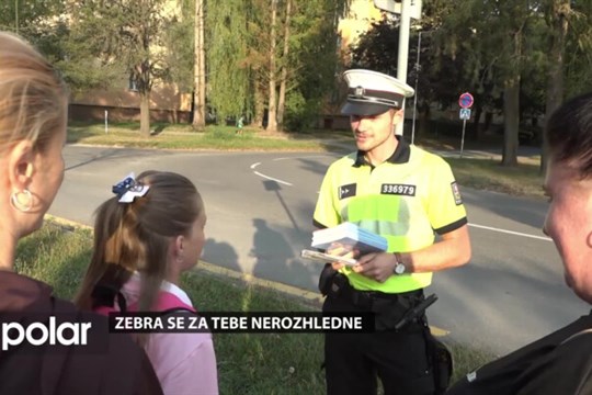 BEZ KOMENTÁŘE: Zebra se za tebe nerozhlédne