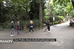 Zoo Praha chová dvakrát jedovaté hady