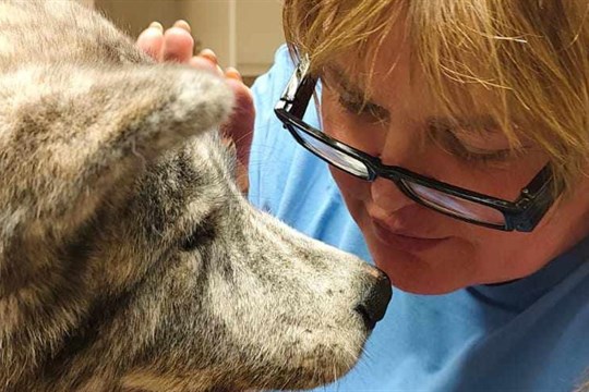 Veterinární pohotovost není večerní ambulance ani telefonická poradna, říká zvěrolékařka Lenka Müllerová