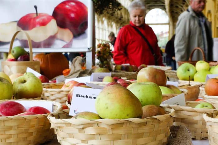 Lázeňský festival jablek v Mariánských Lázních se blíží