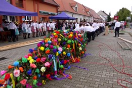 Májku vysokou 22 metrů se v Ostrožské Nové Vsi podařilo postavit i dešti navzdory