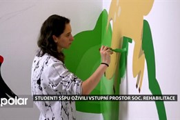 Studenti grafického designu SŠPU v Opavě oživili vstupní prostor soc. rehabilitace Animy Vivy