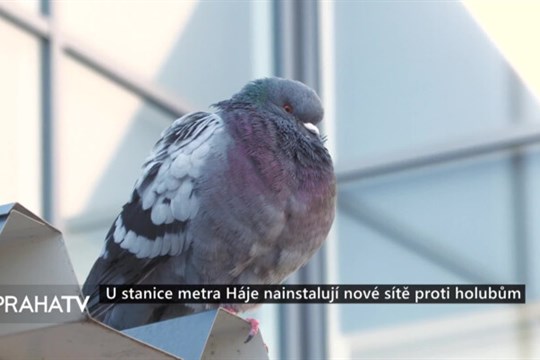 U stanice metra Háje nainstalují nové sítě proti holubům