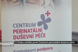 V Česku vzniklo první Centrum perinatální duševní péče