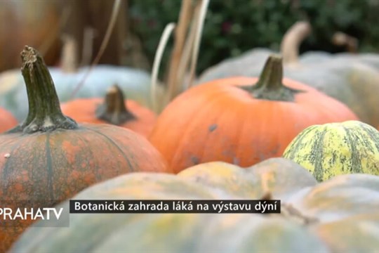 Botanická zahrada láká na výstavu dýní