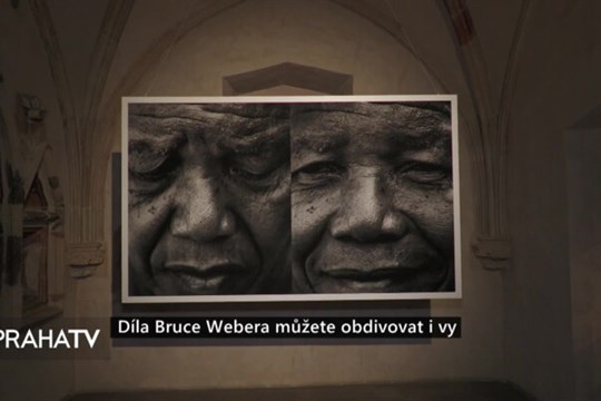 Díla Bruce Webera můžete obdivovat i vy