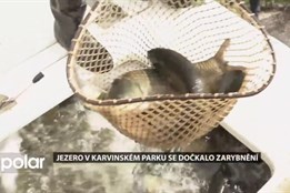 Jezero v karvinském parku Boženy Němcové je opět plné ryb, přibyly skoro tři tuny