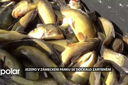 Jezero v zámeckém parku Boženy Němcové je opět plné ryb