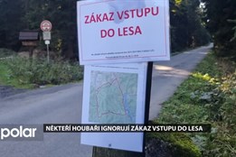 Někteří houbaři ignorují zákaz vstupu do beskydských lesů poškozených povodněmi