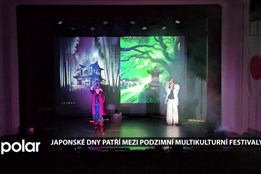 Japonské dny patří mezi podzimní multikulturní festivaly, ty jsou v Ostravě hned čtyři