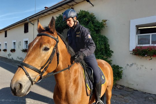 Ke zlínským policistům se brzy připojí nová posila. Říká si C - Storm!